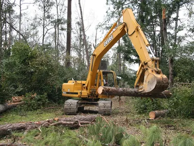 Tracked excavator lifting a large felled pine trunk while clearing a wooded lot after storm damage