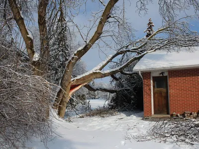 Snow-covered tree limb split and fallen against the roof of a brick house after a winter storm